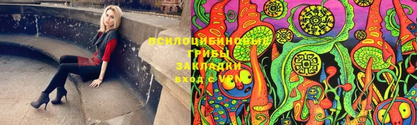 2c-b Касимов
