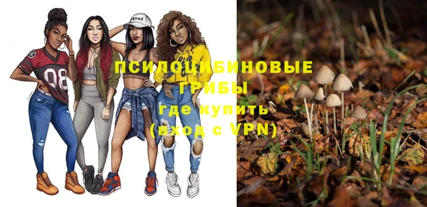 молекула духа Карталы
