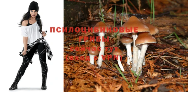 бутират Карпинск