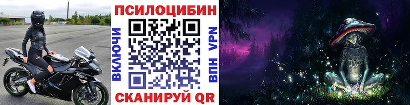 Купить где  Лукоянов  Галлюциногенные грибы Cubensis 