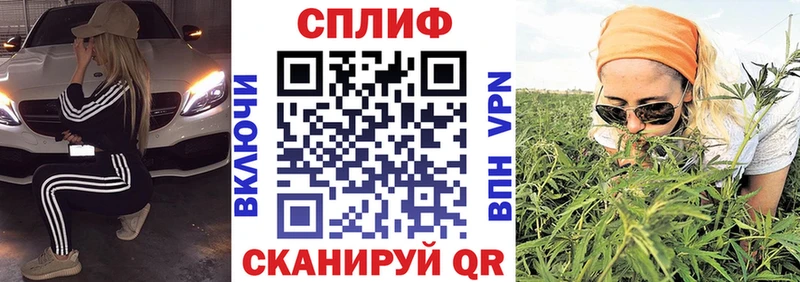 Купить  Лукоянов  Бошки марихуана SATIVA & INDICA 